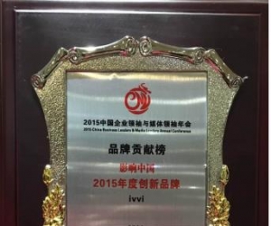 品牌星路共同成长，ivvi赵丽颖2015收获满满相得益彰